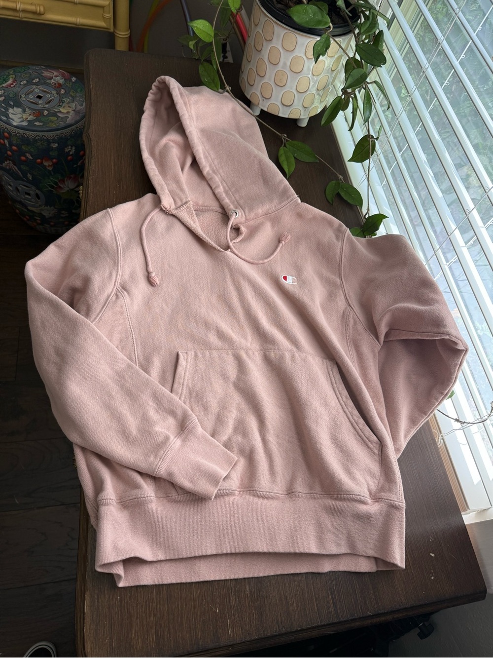 Champion Neutral Small /Medium Hoodie